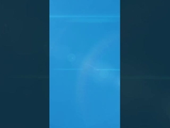 Elegante eivormige rhinestone juwelen doos met fluweelafvoering